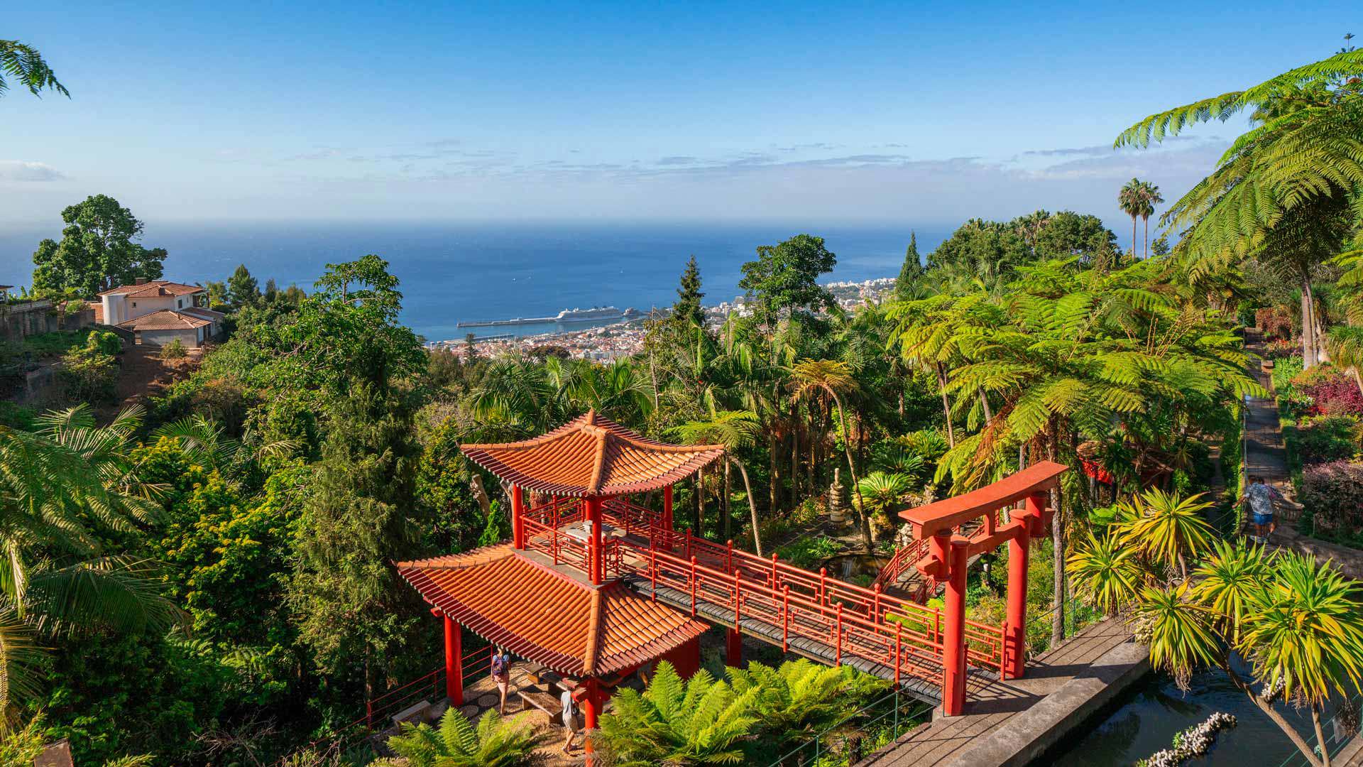 Pont oriental au Jardin Tropical Monte Palace Madeira avec vue sur Funchal et végétation environnante.