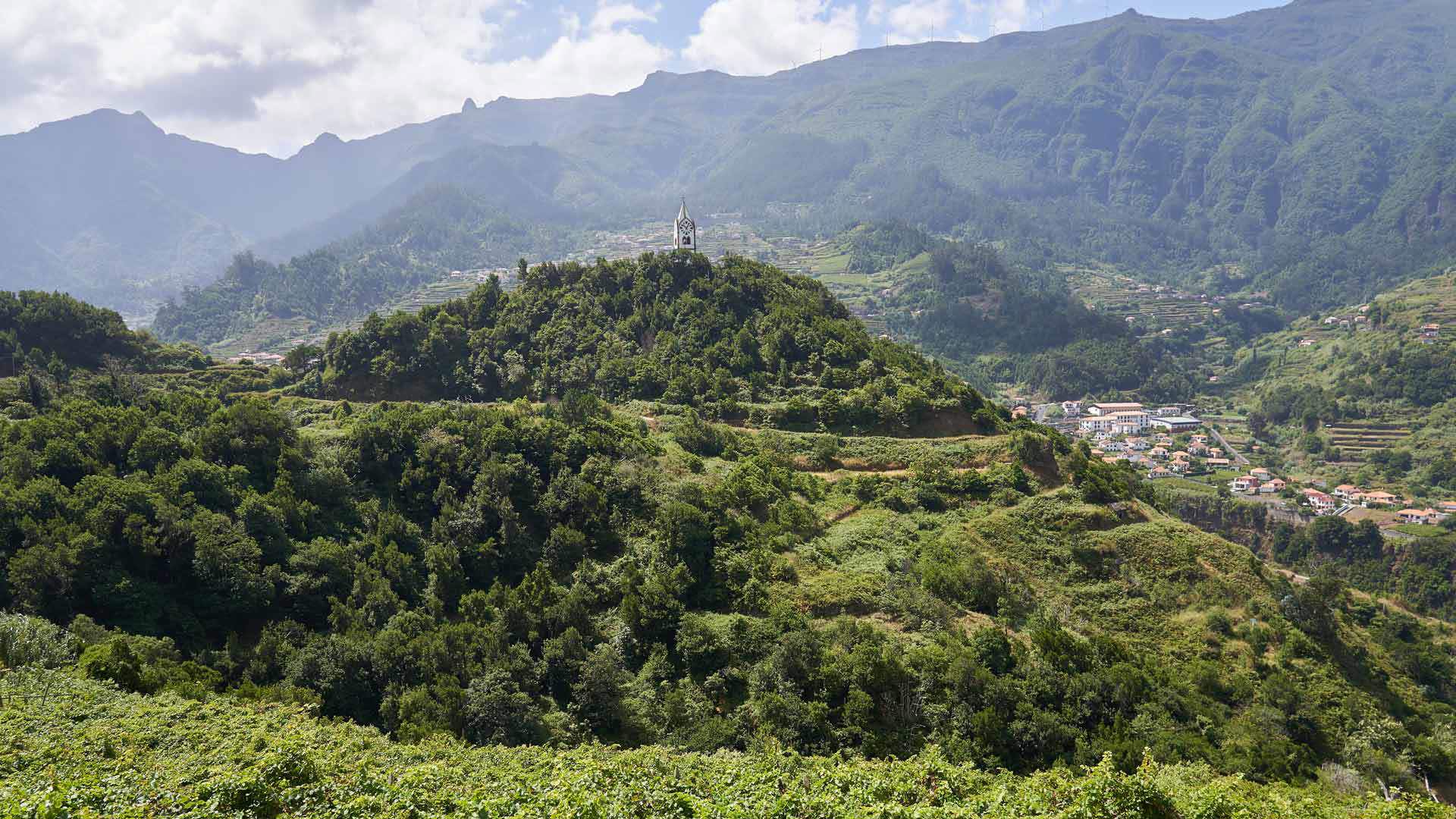 Mountain view surrounded by nature on Madeira Island.