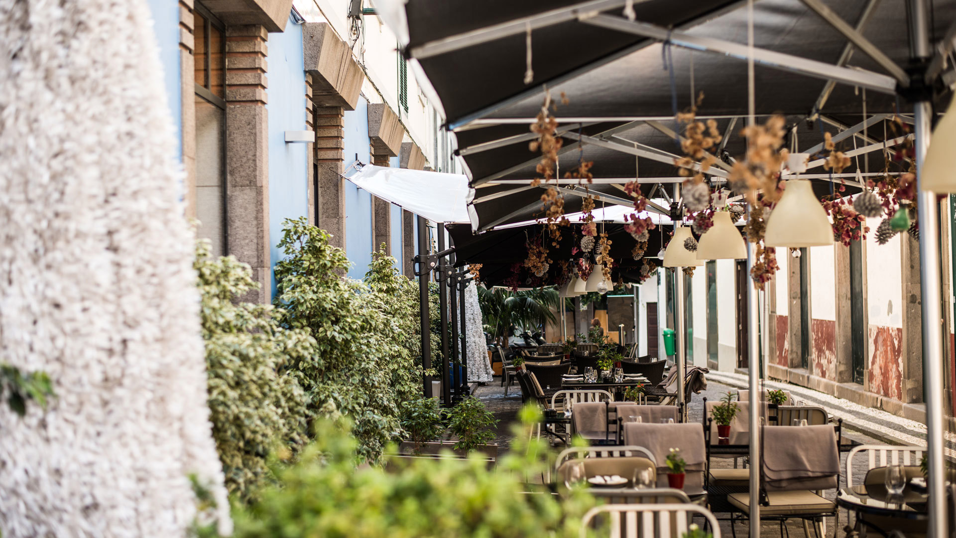 Terrace with chairs, tables, umbrellas, and plants.