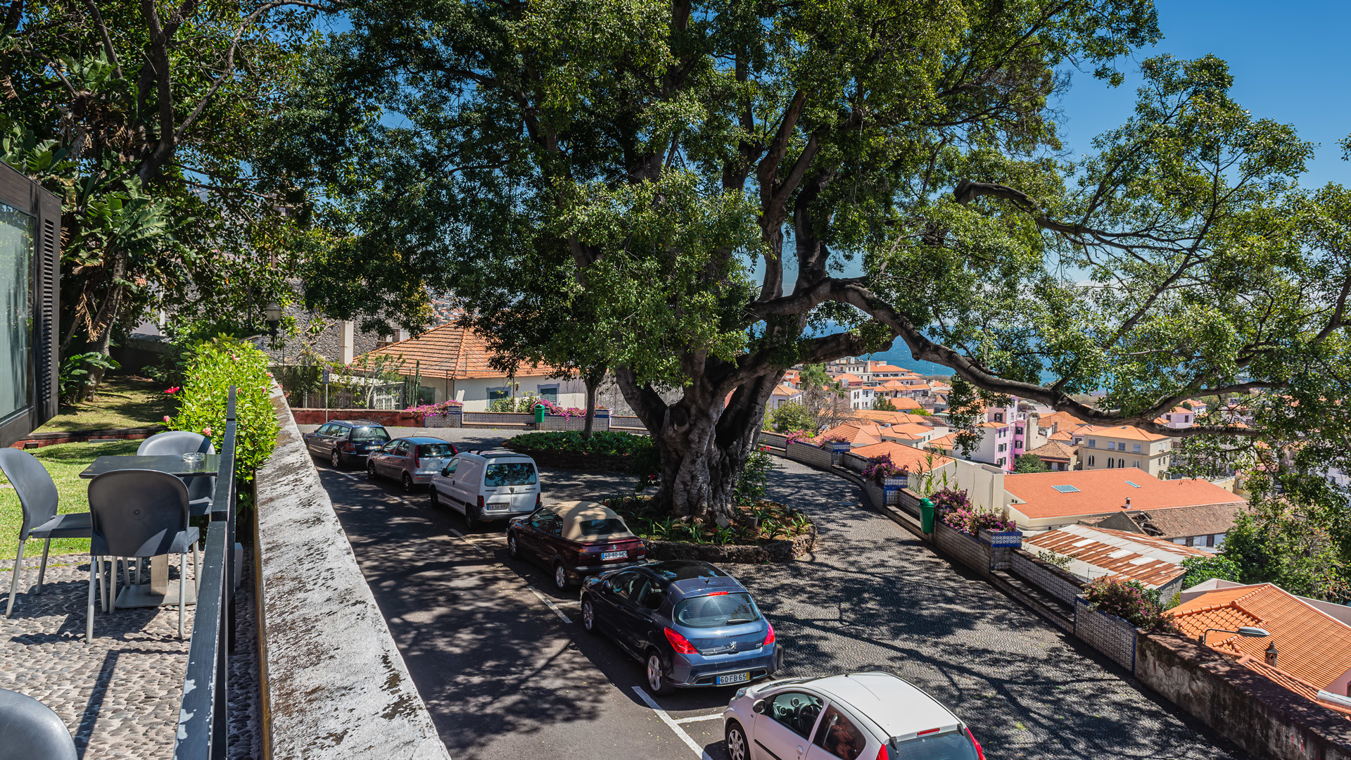funchal viewpoints 2