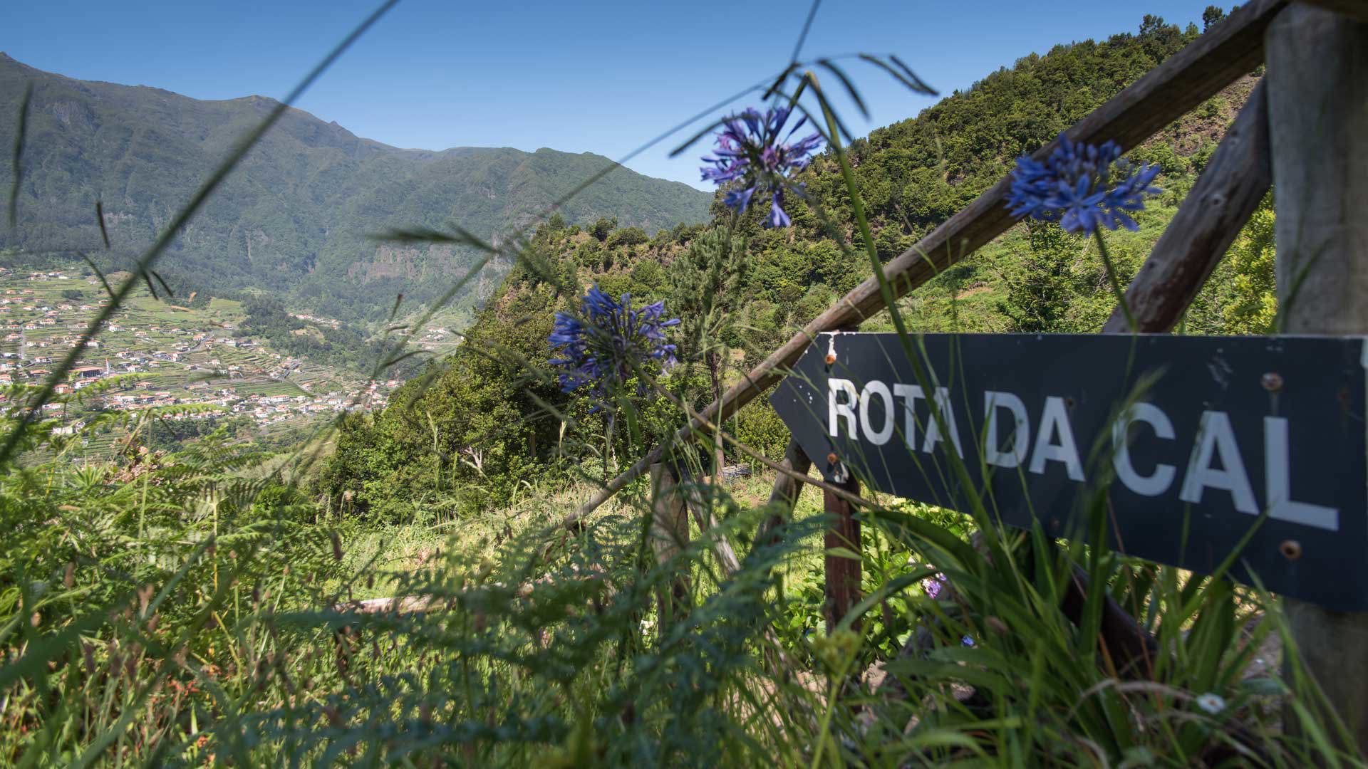 Miradouro com vista para a natureza e montanhas na Madeira.