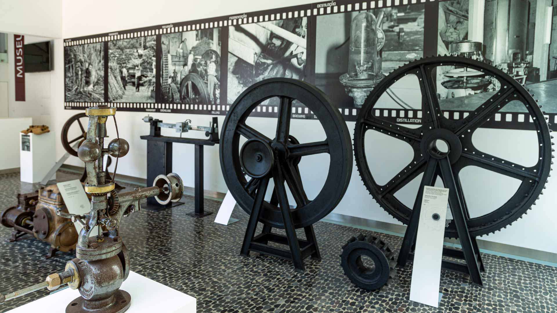 engenho da calheta 2