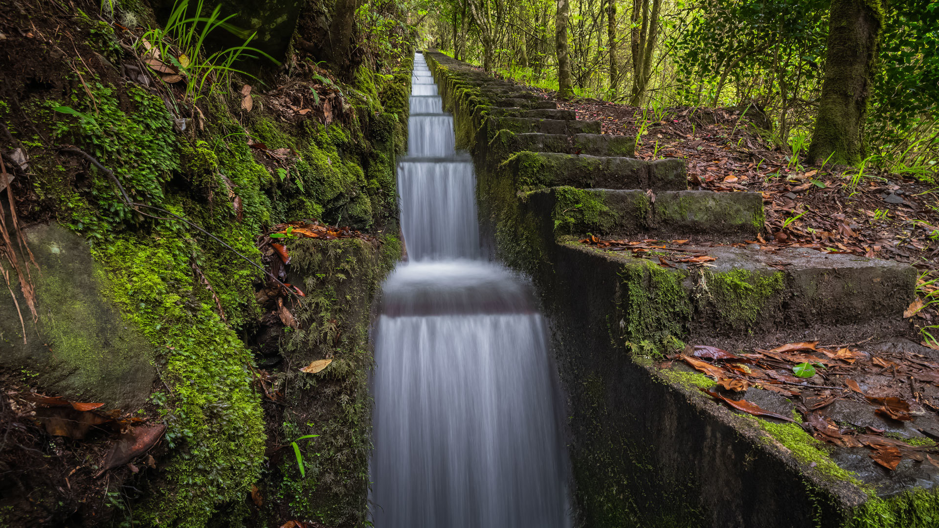 Levada with water flowing in a cascading effect over natural steps in Madeira.