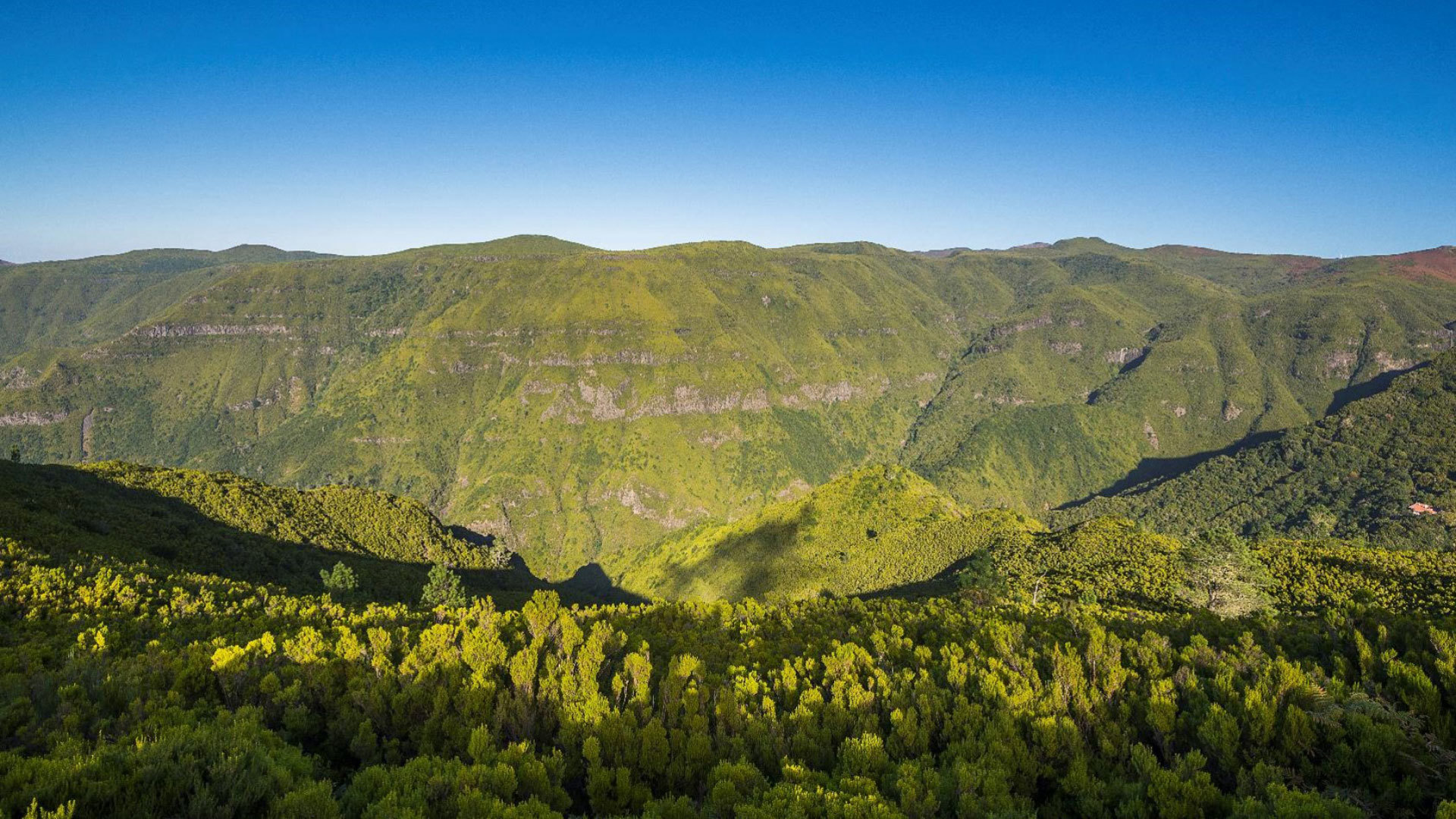 Berge mit dichter Vegetation unter blauem Himmel.