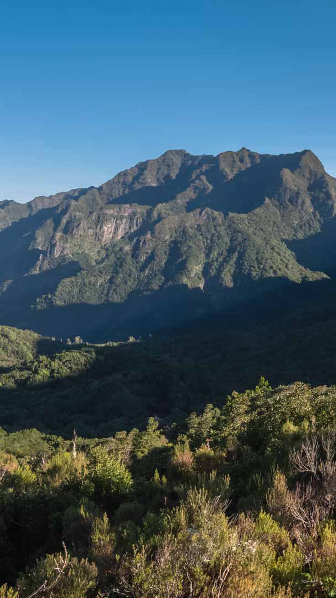 About Us And Where We Are Visit Madeira Madeira Islands Tourism about-us-and-where-we-are-visit-madeira-madeira-islands-tourism