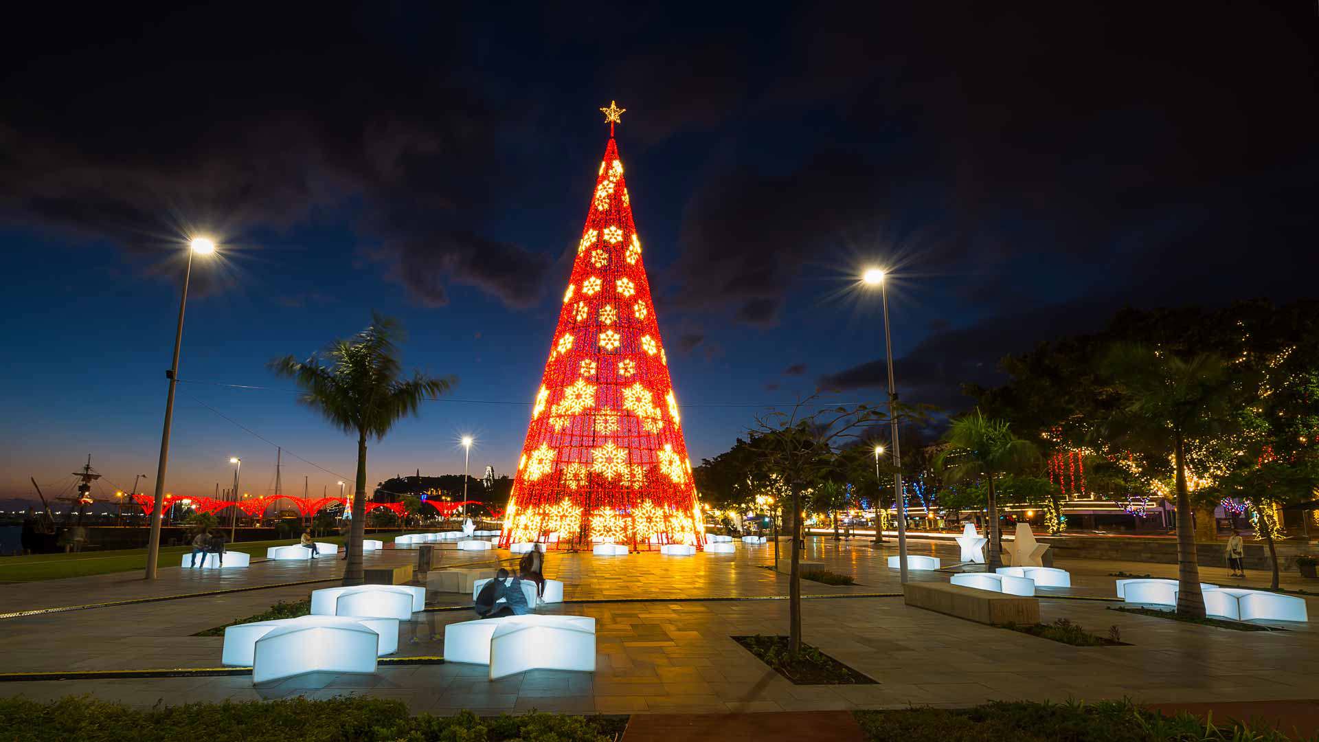 Sapin de Noël illuminé avec des lumières à Funchal, Madère.