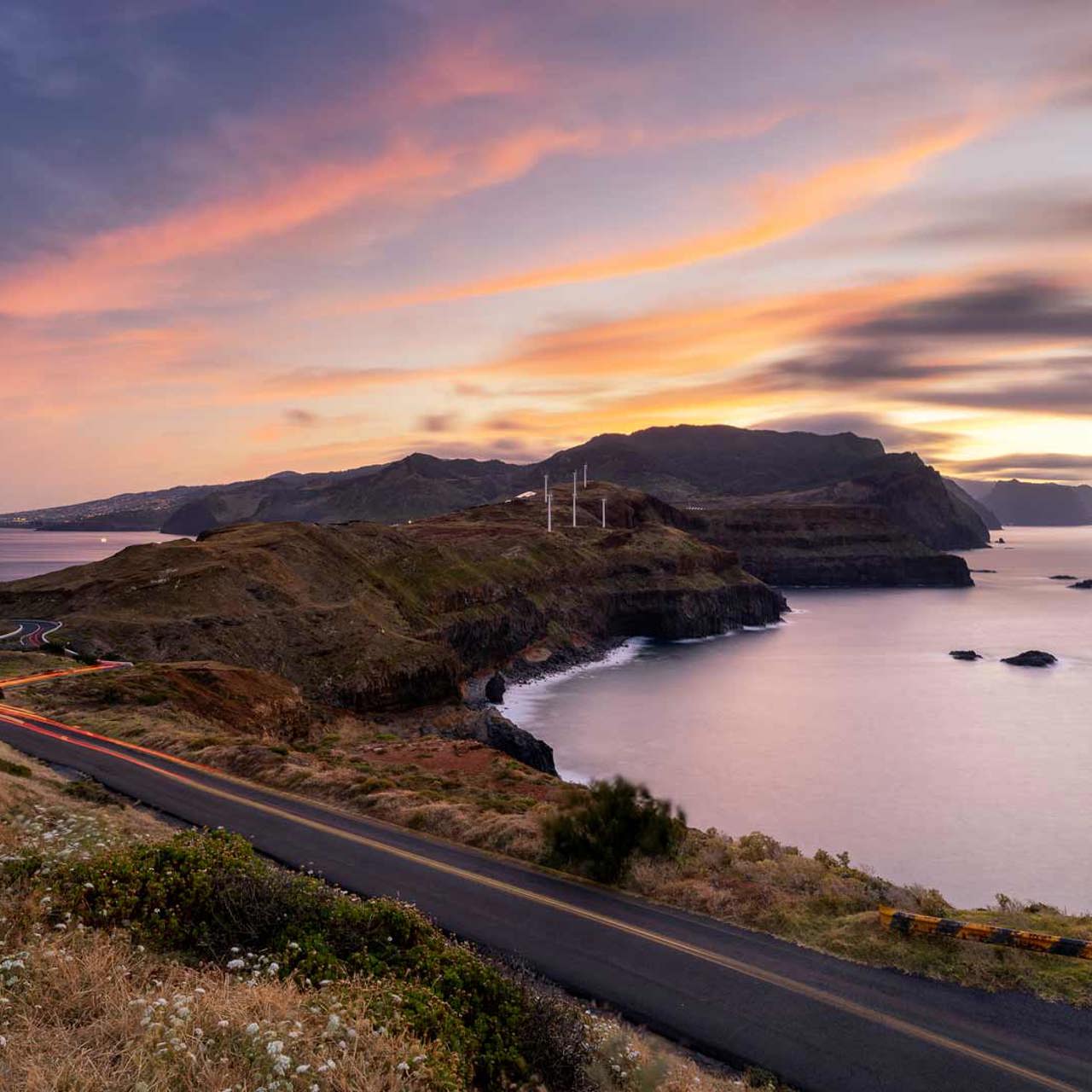 ponta de são lourenço madeira 20