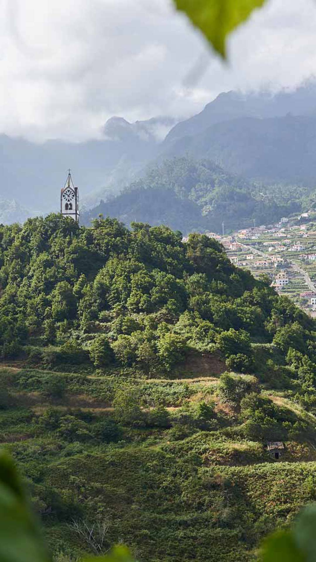 Mountain view surrounded by nature on Madeira Island.