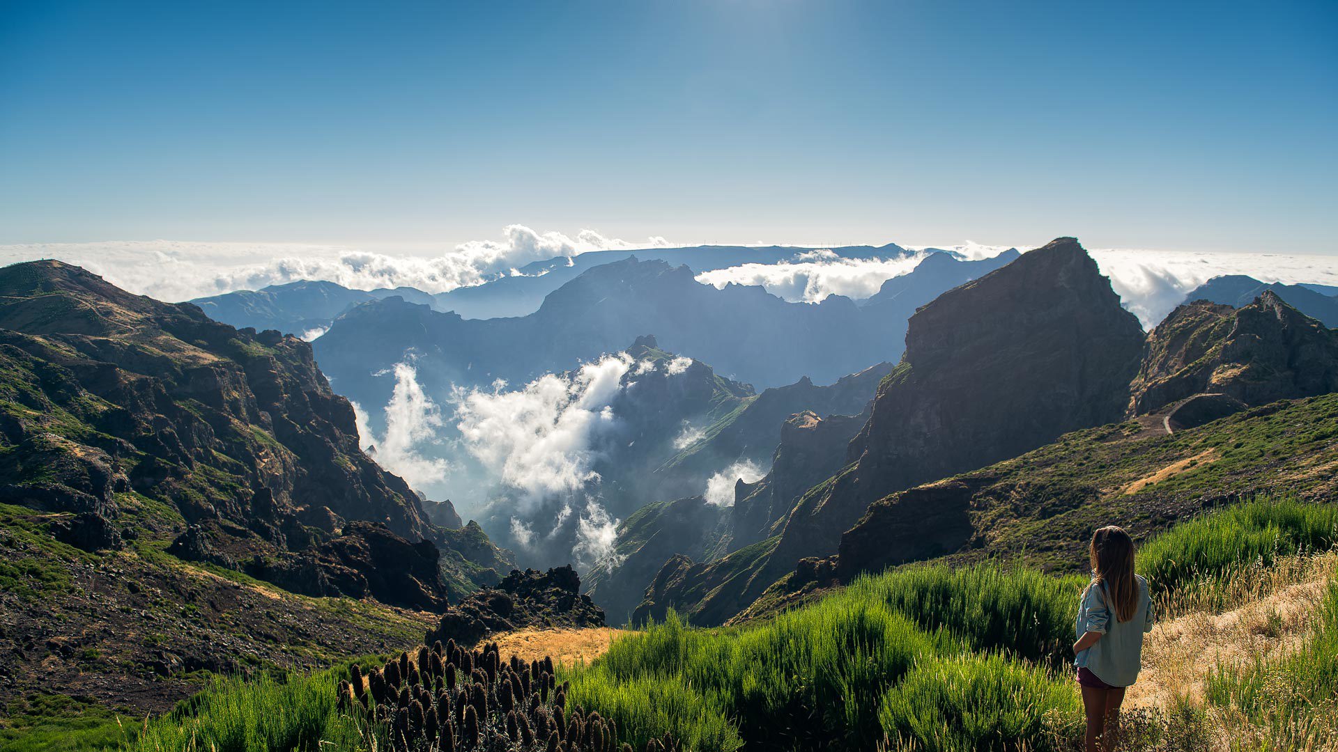 dmc madeira