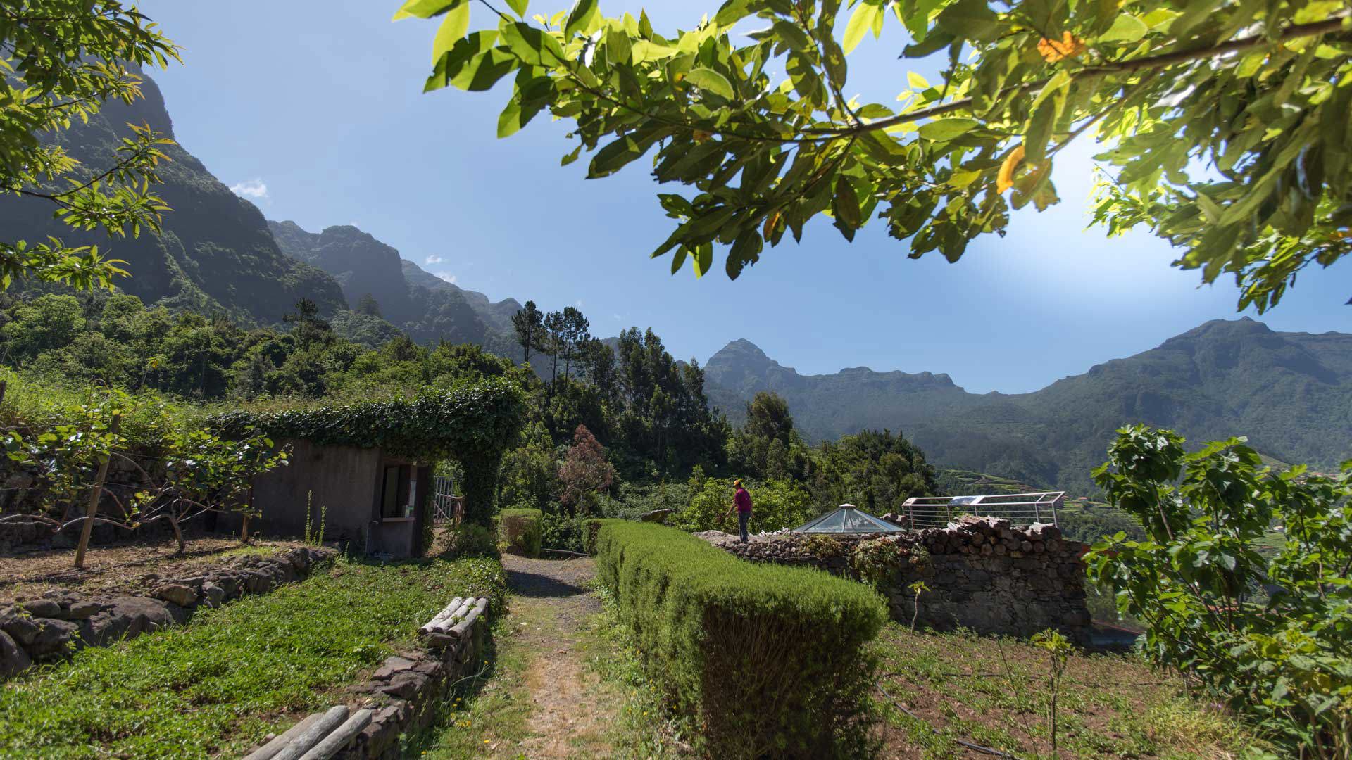 Green nature with blue sky in Madeira.