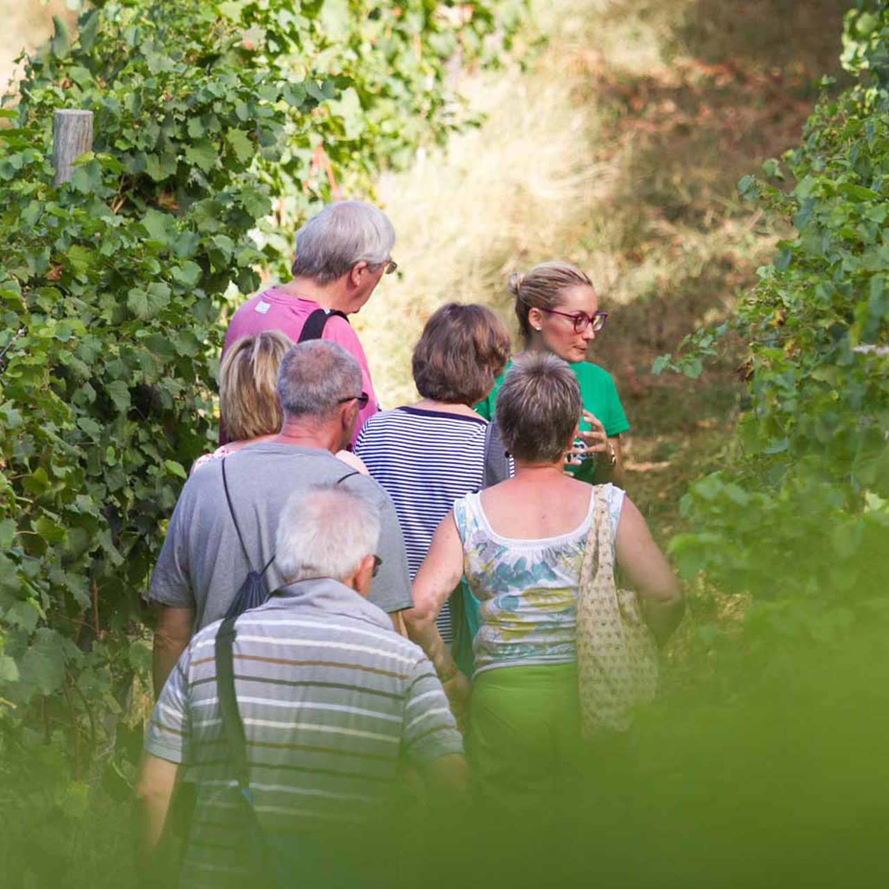 People walking through the vineyards on Madeira Island.