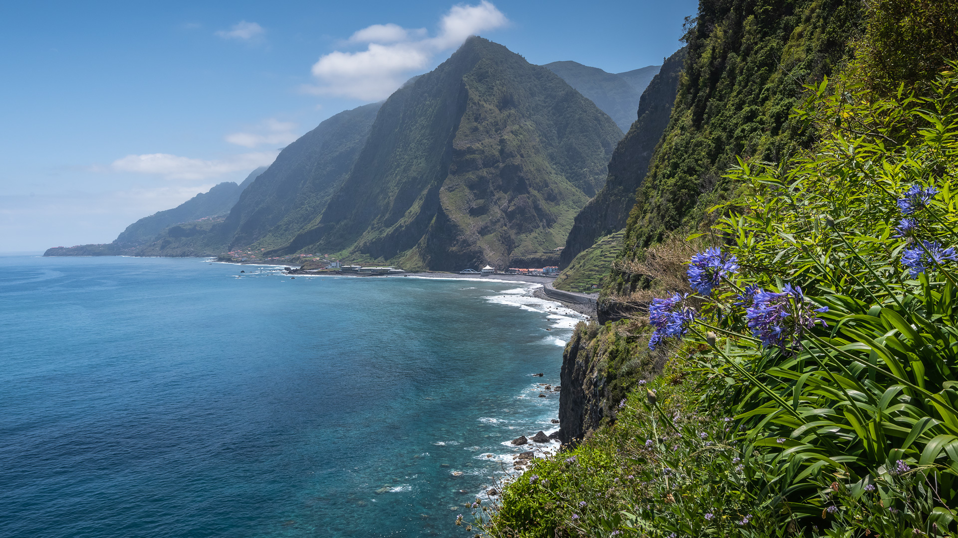 são vicente madeira 15