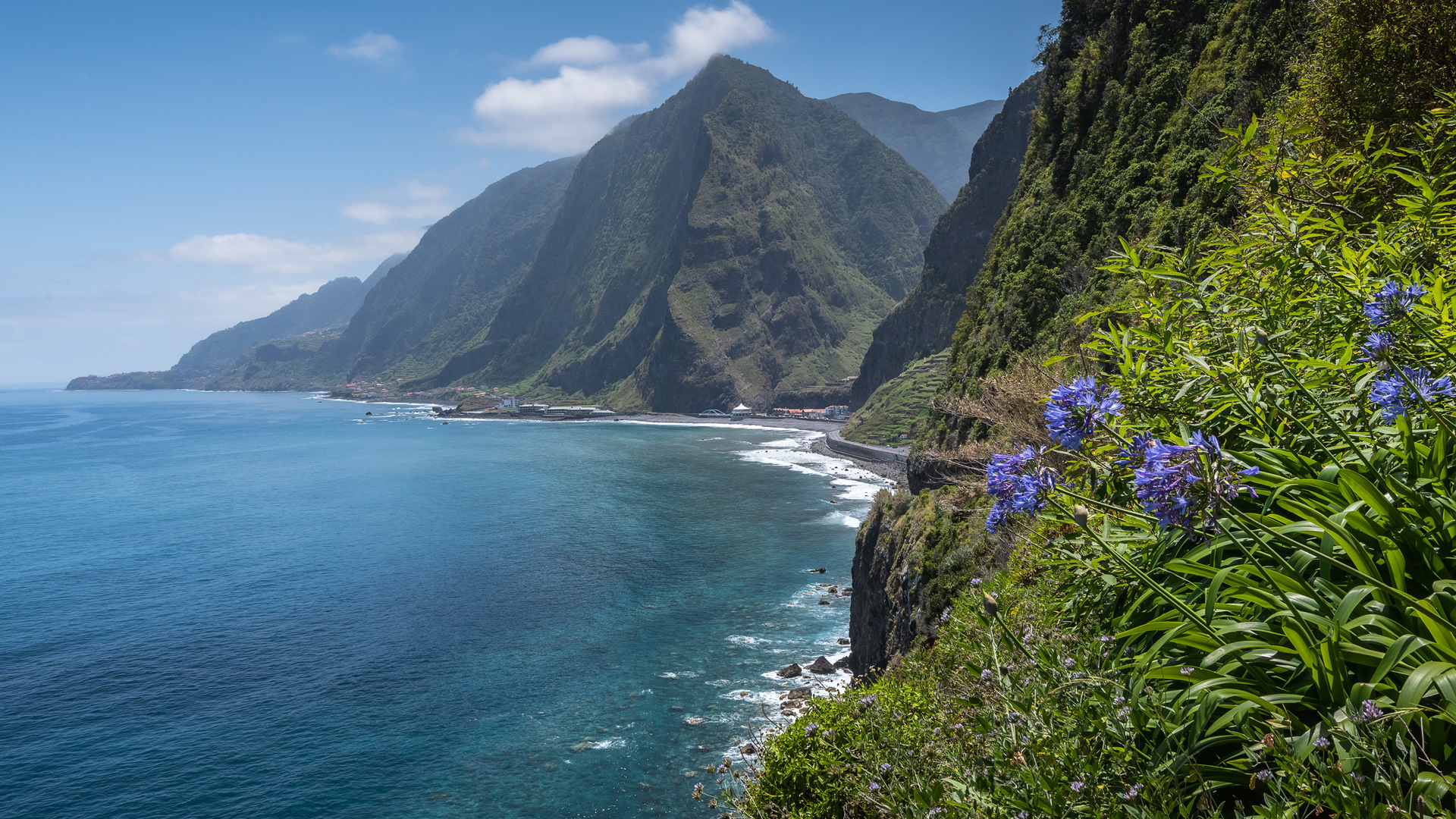 Montanha com vista para o mar e plantas ao redor.