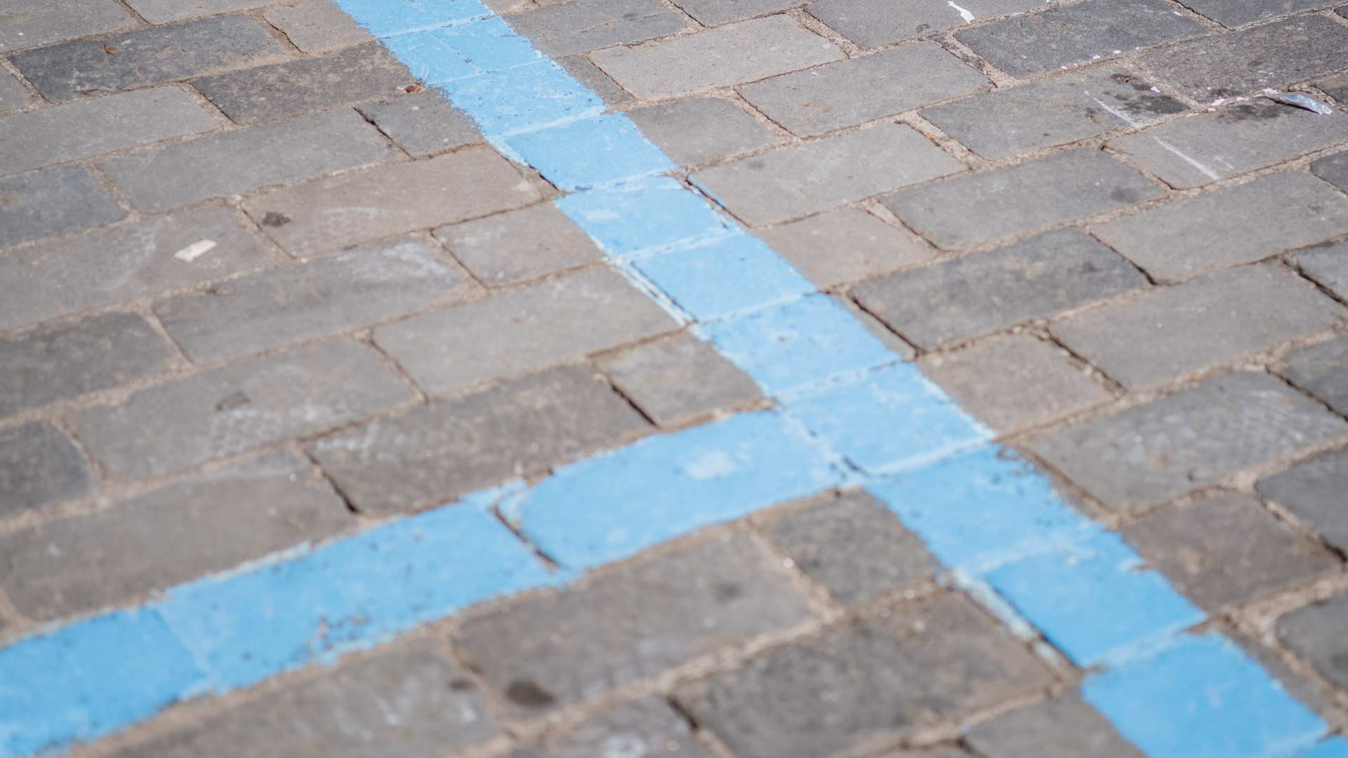 Road with a blue line painted on the asphalt.
