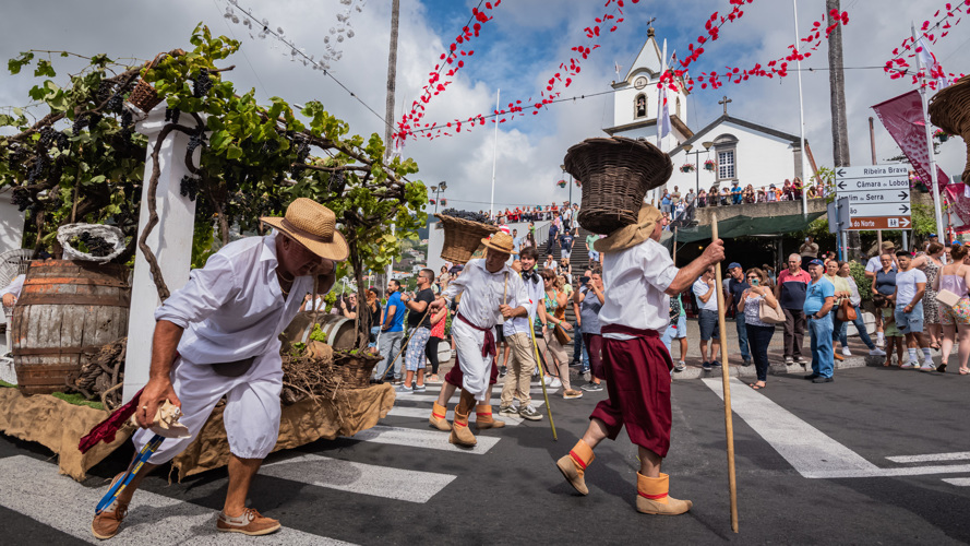 Madeira Wine