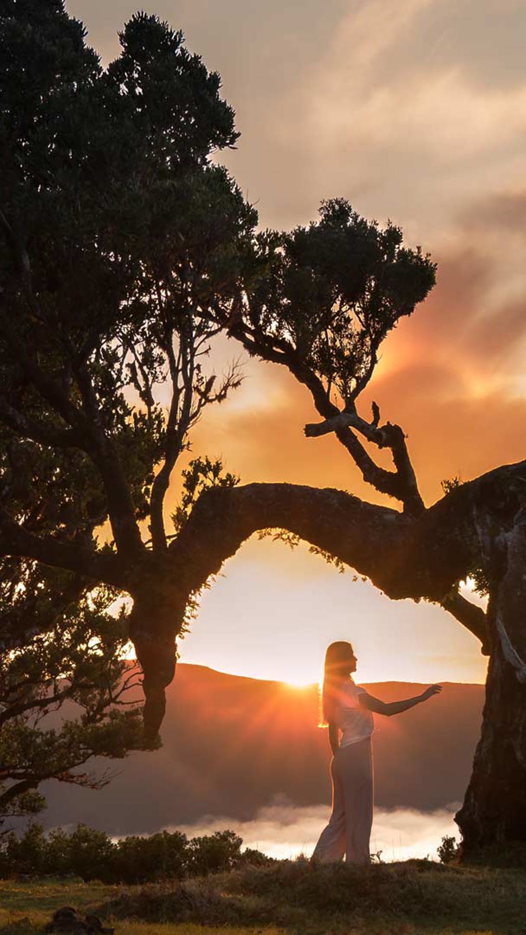 Mujer bajo árbol al atardecer en Madeira.