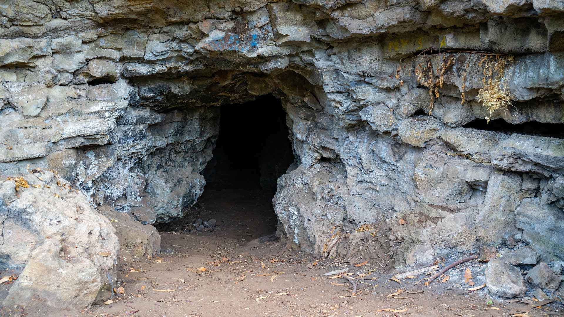 cuevas de cavalum 2