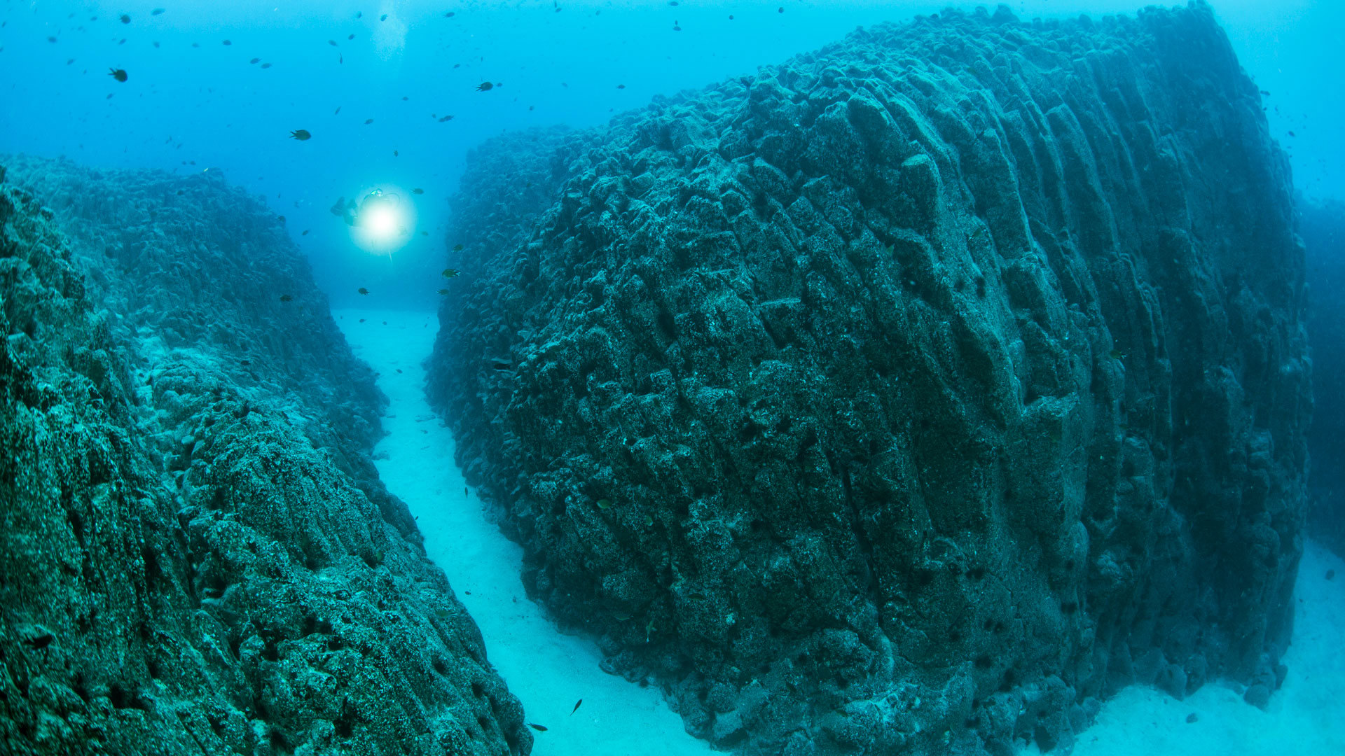 Person springt vom Felsen ins Meer.