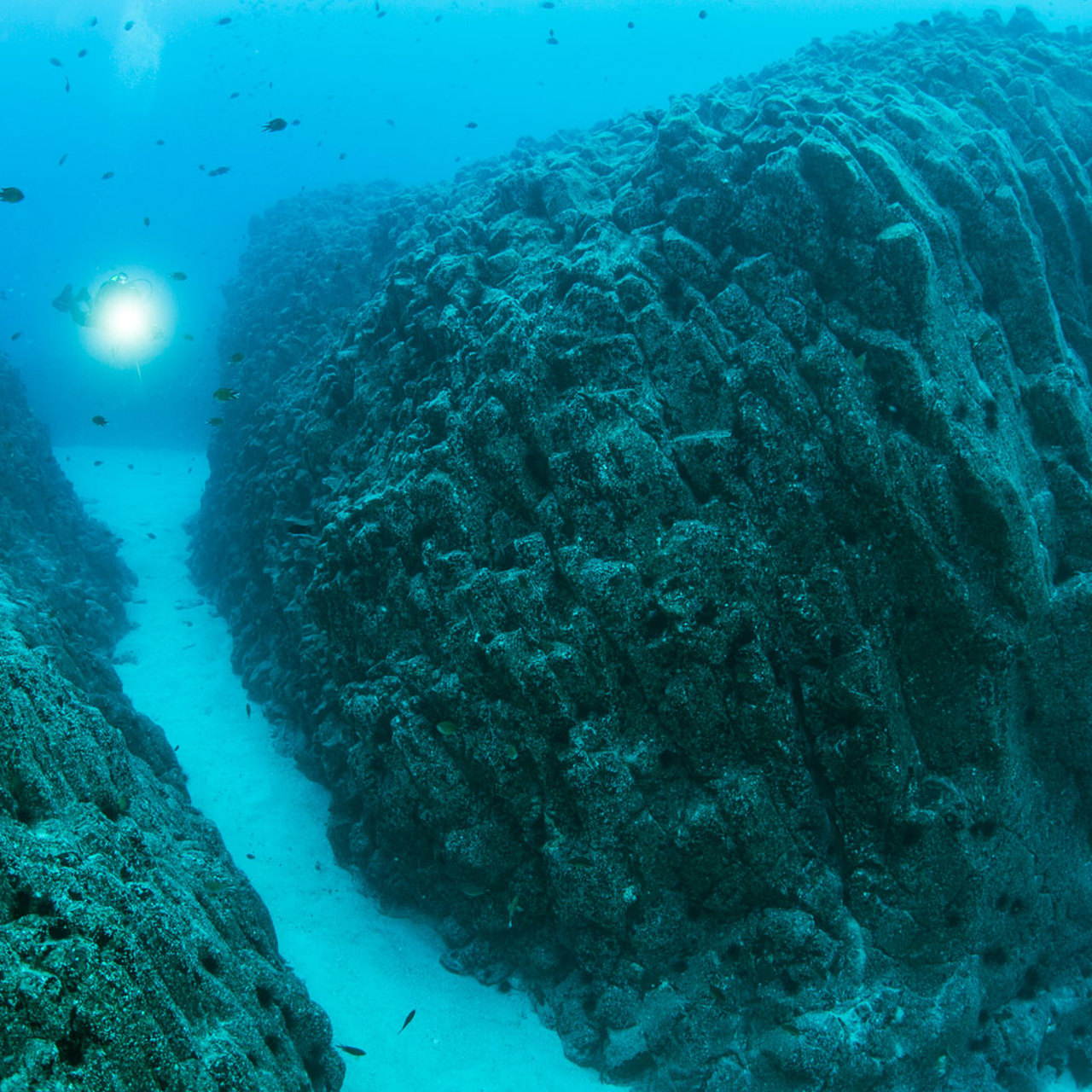 Pessoa a mergulhar da rocha para o mar.