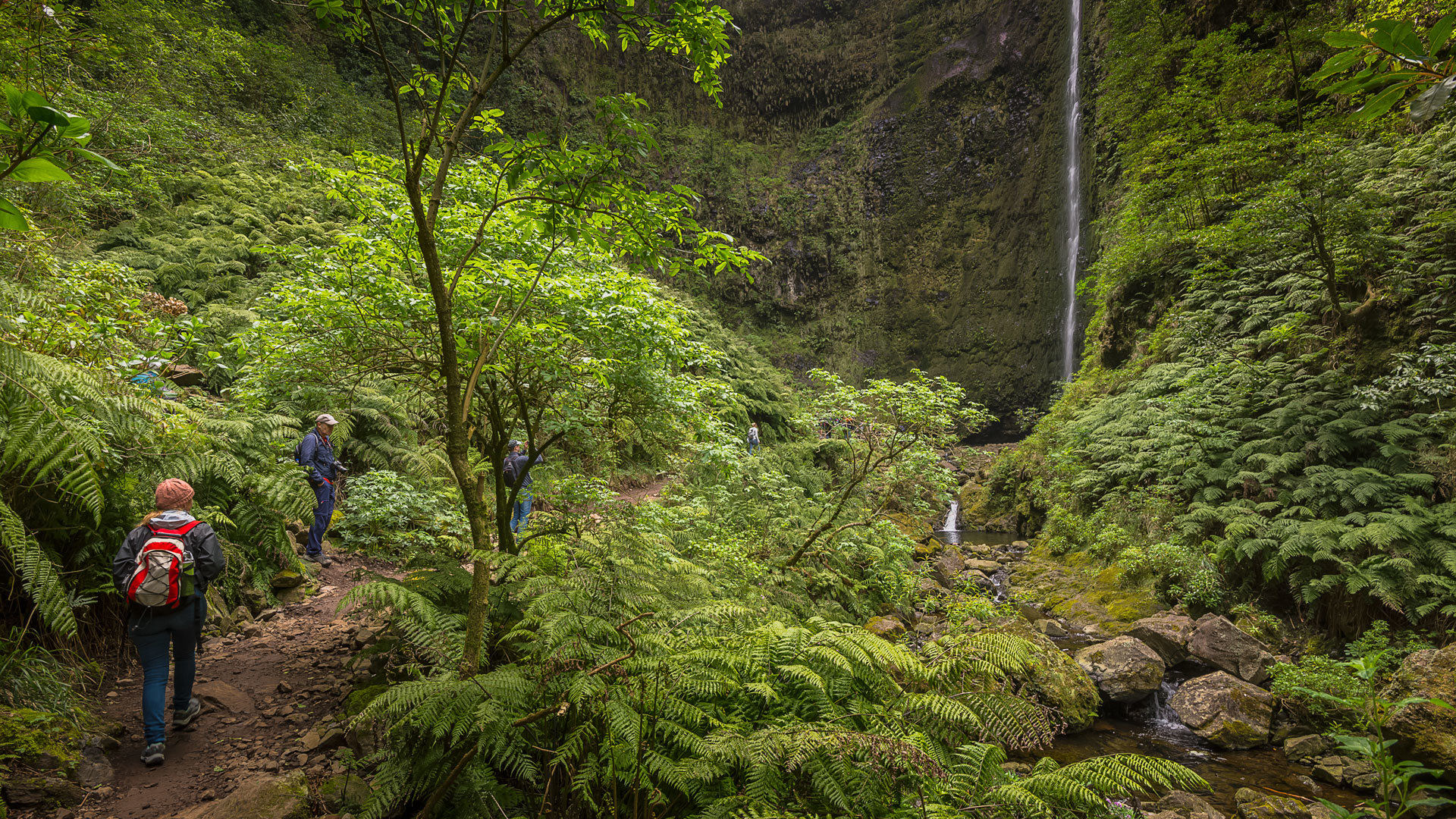 Hiking - Visit Madeira | Madeira Islands Tourism Board official website