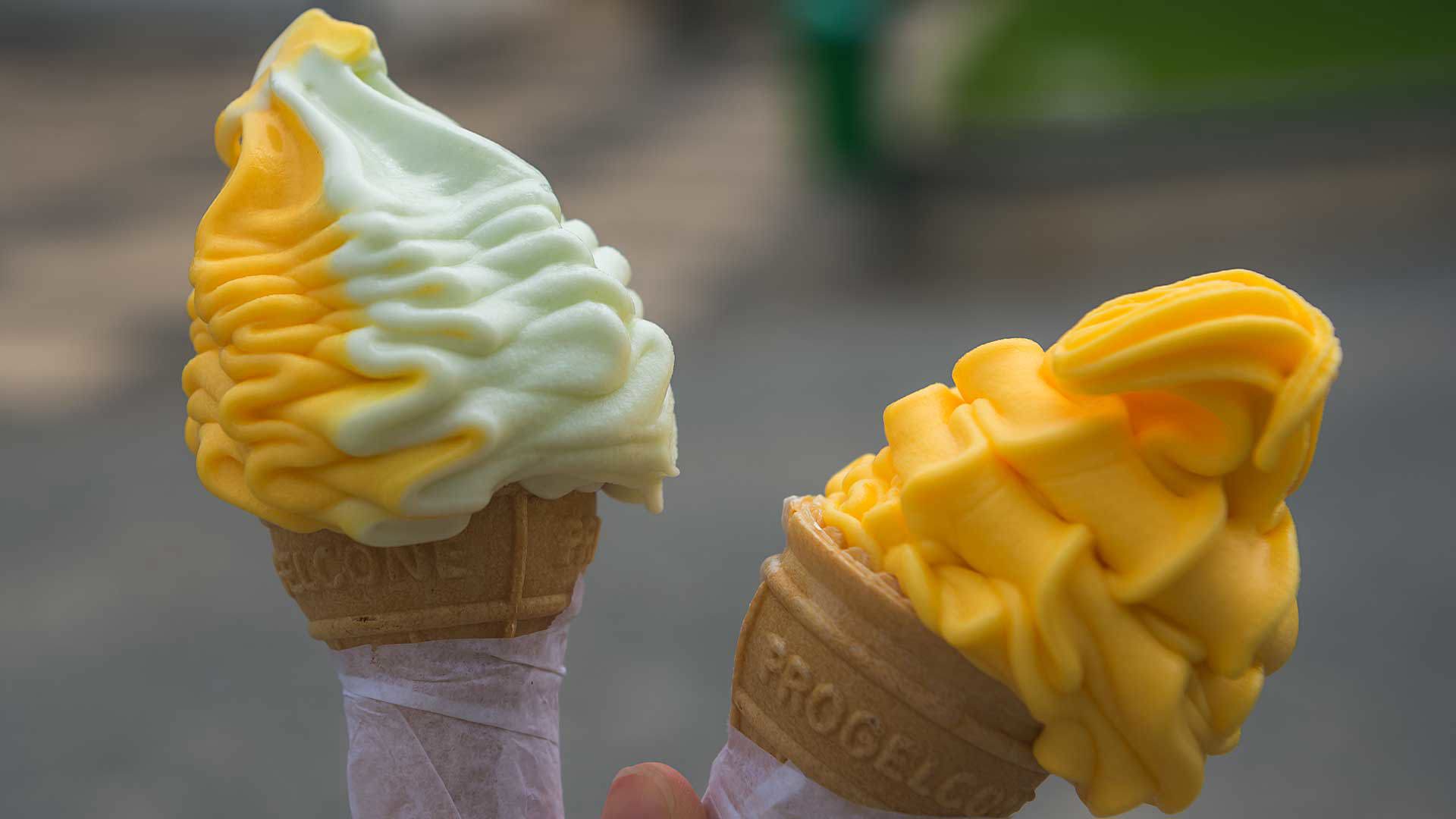 Zwei Lambecas in der Hand einer Person gehalten.