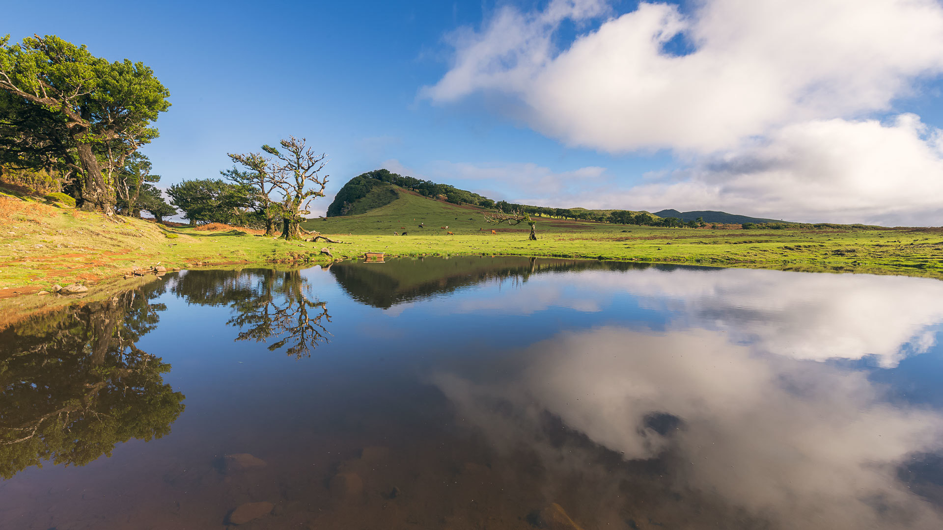 espaços naturais 8