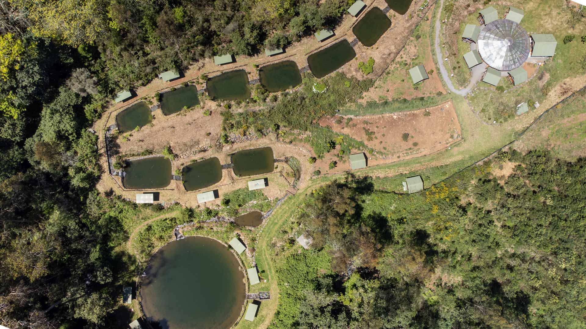 parque primeira ribeira 1